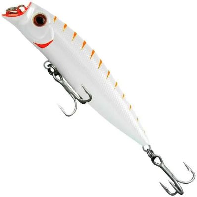 Isca Marine Sports Brava 77