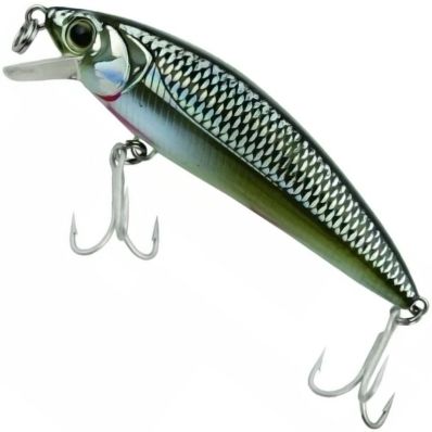 Isca Marine Sports Inna Pro Tuned 50