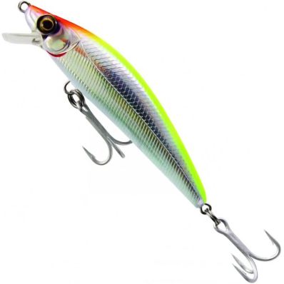 Isca Marine Sports Inna Pro Tuned 140 F