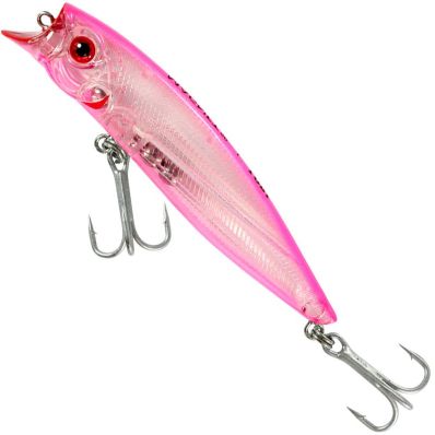 Isca Lori Magnet 90