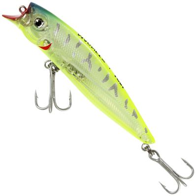 Isca Lori Magnet 75