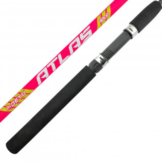 Vara Deyu Atlas 1652M (5'5" 10-20lb, 02 Partes)