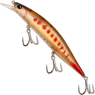 Isca Duo realis Jerkbait 160 SP Amazon Series