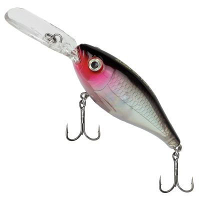 Isca Albatroz Deep King 80