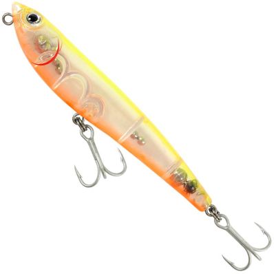 Isca Lori M 105