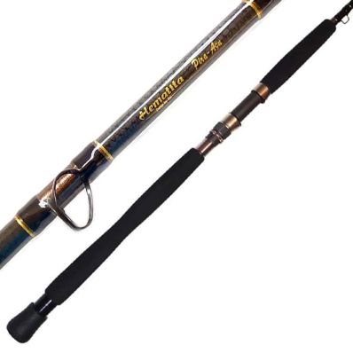 Vara Intergreen Hematita Pira-Açu HTC56MH-1 (5'6", 15-30lb)
